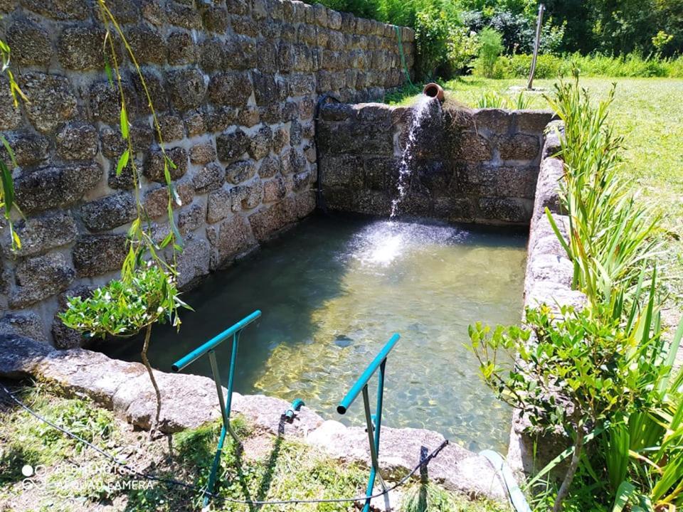 לינה וארוחת בוקר סנטה קומבו דאו Casas Vale Martinho מראה חיצוני תמונה